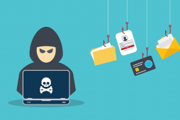 credit card fraud